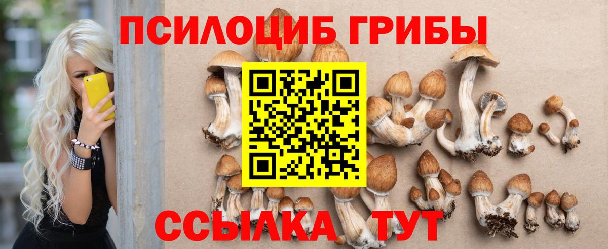 Галлюциногенные грибы прущие грибы  Псилоцибиновые грибы мицелий  Вход с VPN  Ачхой-Мартан 